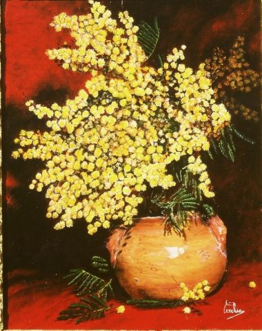 mimosa pot en terre